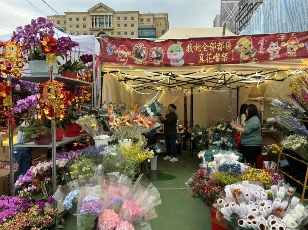 旅游推荐🥇一人游：香港三日游，美好得像一场电影
