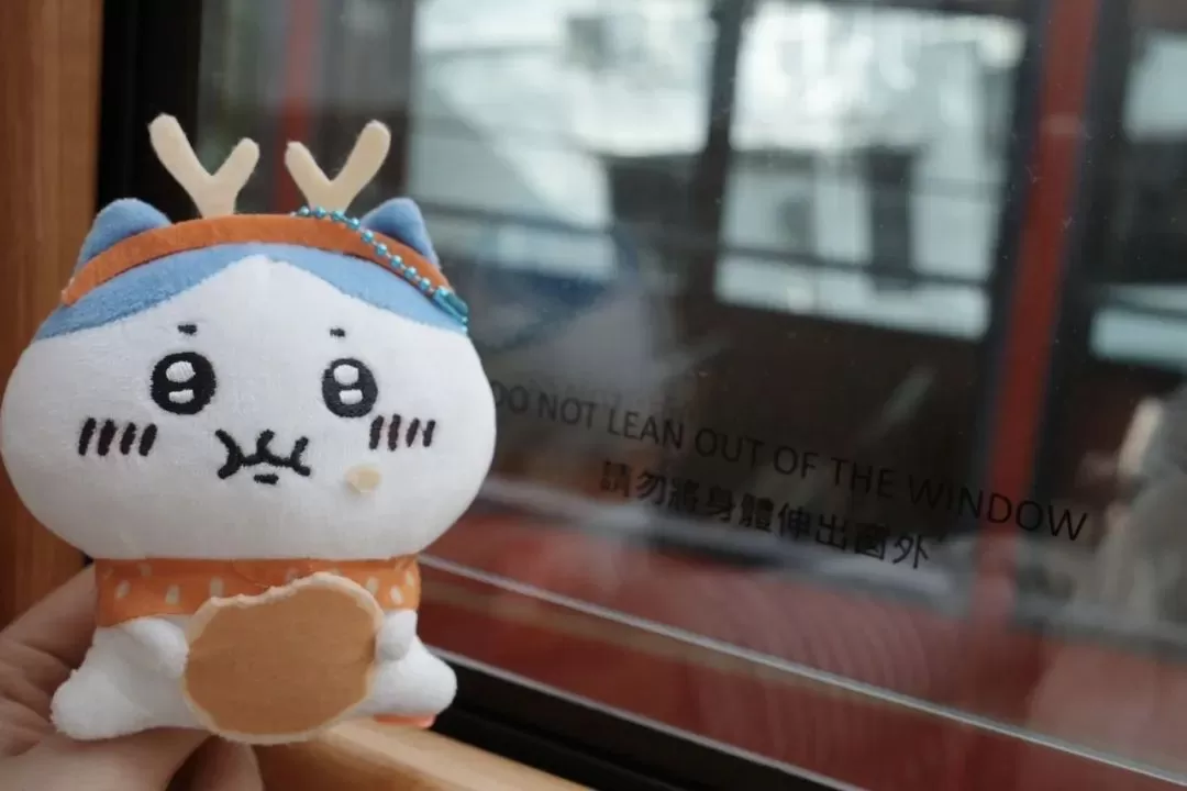 旅游推荐🥇一人游：香港三日游，美好得像一场电影