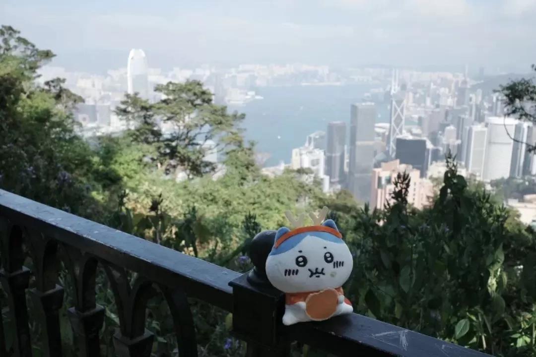 旅游推荐🥇一人游：香港三日游，美好得像一场电影