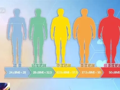 🌟国家版减肥指南来了！权威食谱健康生活必备
