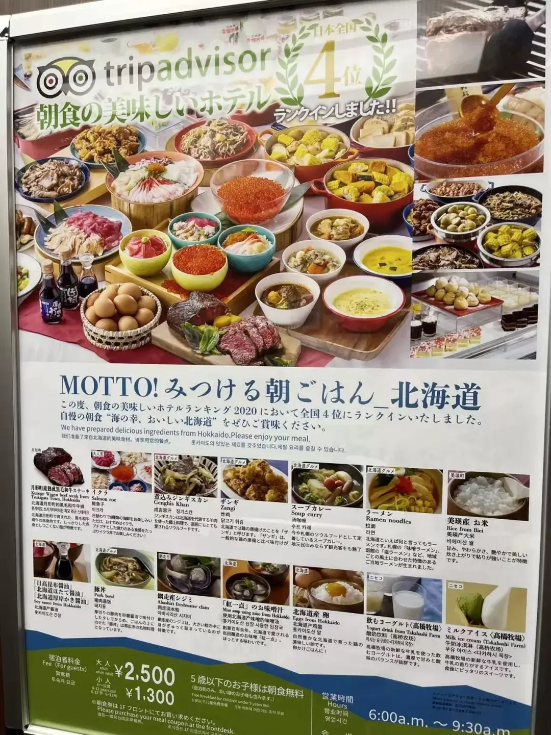 旅游推荐㊙️一人游：八千人民币在日本玩了十二天八个城市(攻略帖）