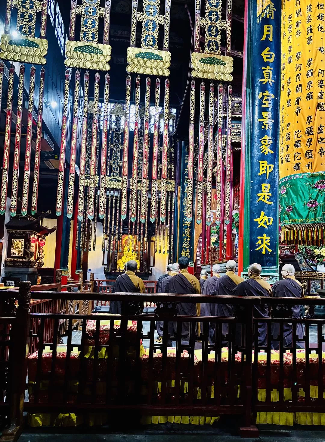 旅游推荐⚡法喜寺的古玉兰