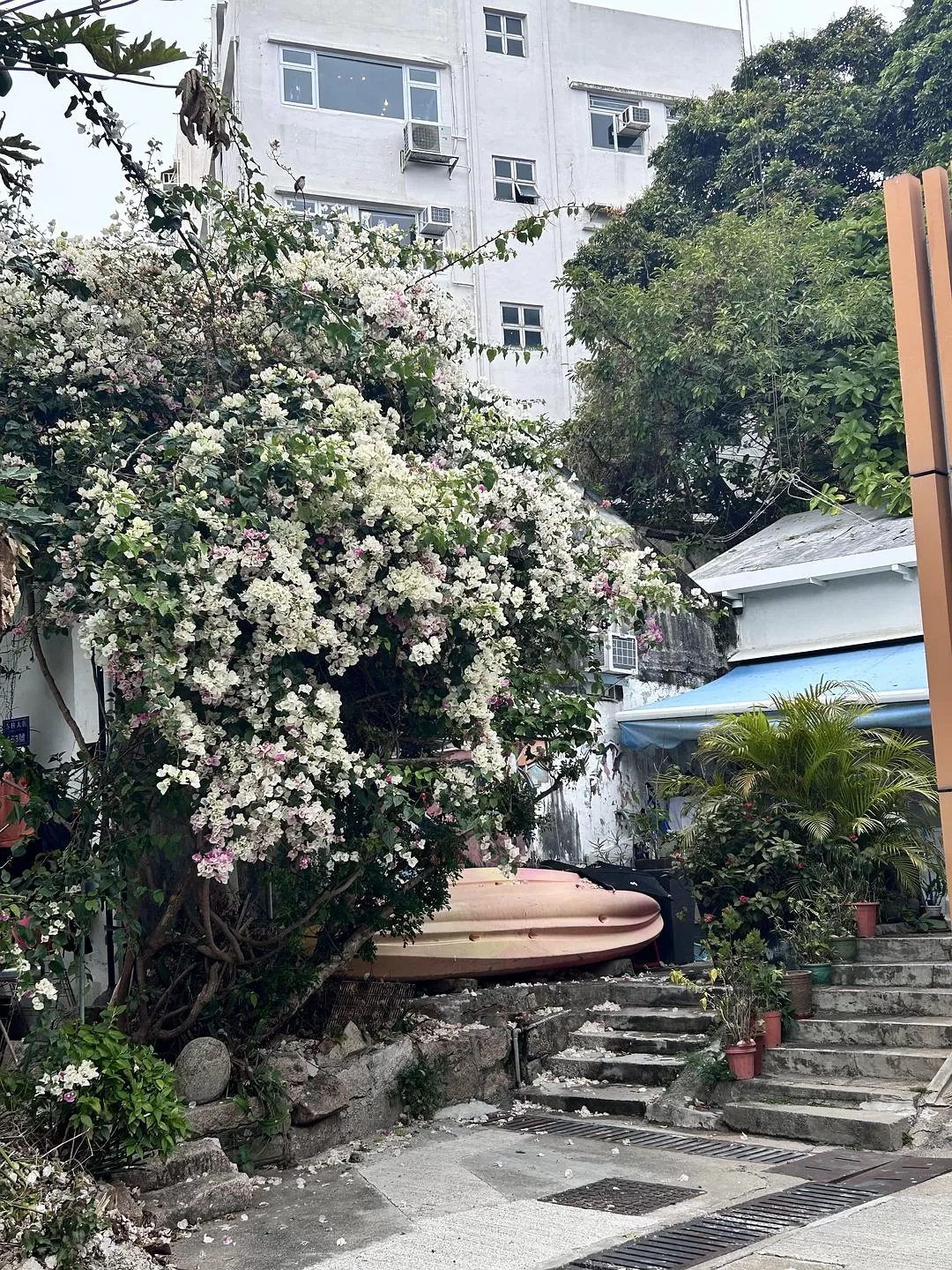 旅游推荐🈲一人游：香港浅水湾+赤柱休闲但享受的半日游