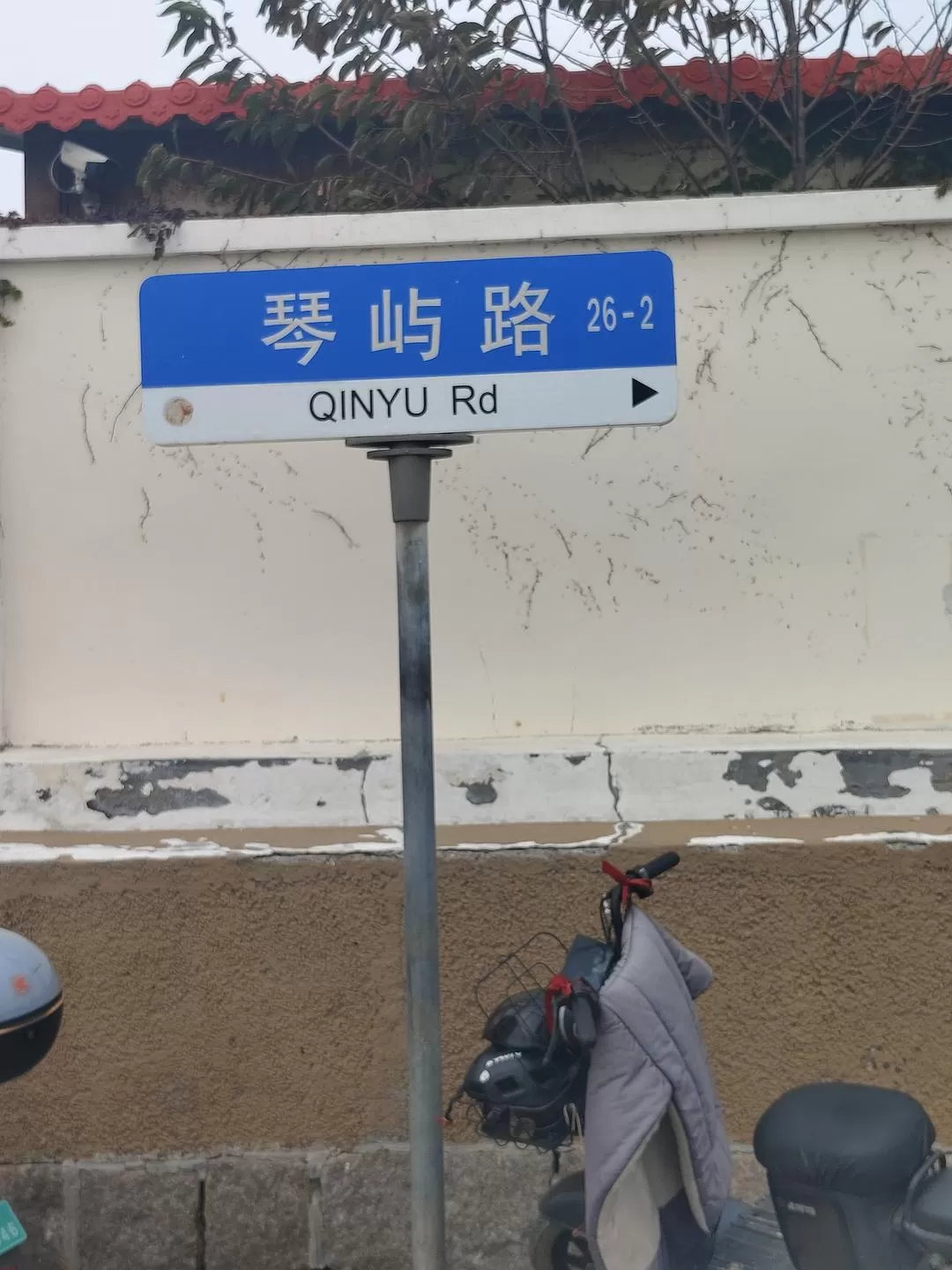 旅游推荐🌟两人游：青岛——南方长大但第一次看海~（24年秋天版）