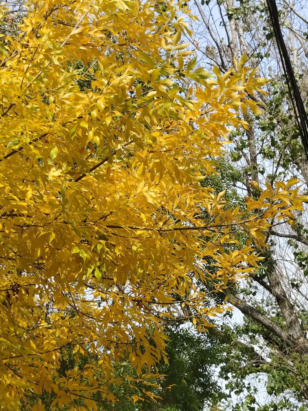 旅游推荐🌟两人游：青岛——南方长大但第一次看海~（24年秋天版）