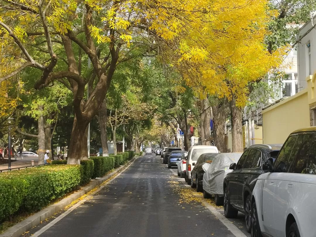 旅游推荐🌟两人游：青岛——南方长大但第一次看海~（24年秋天版）