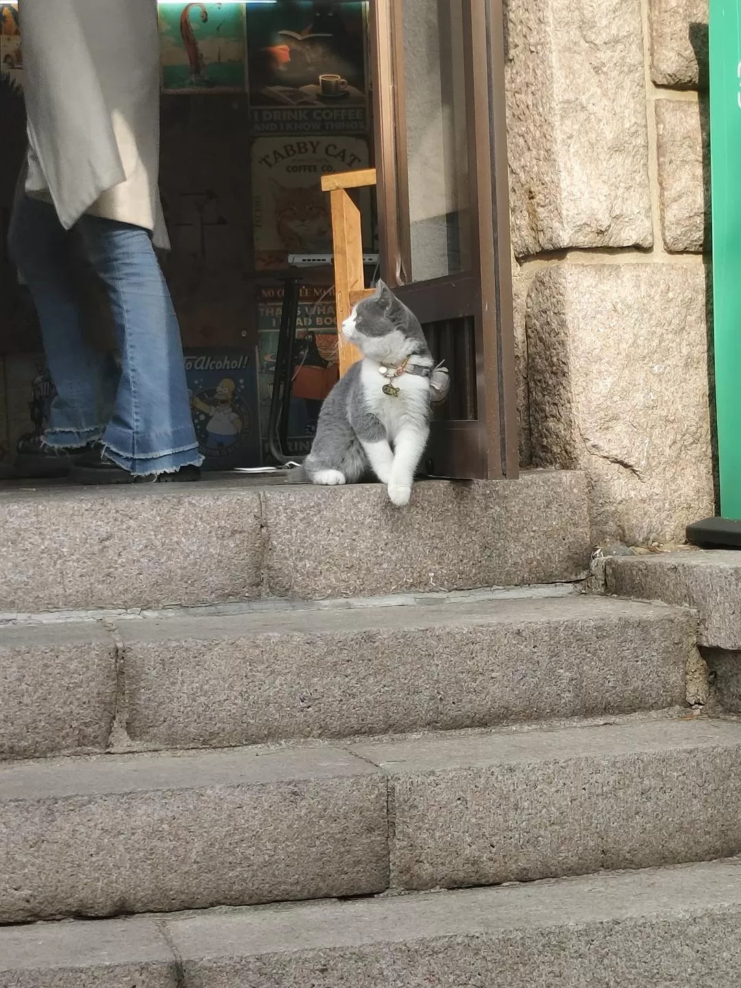 旅游推荐🌟两人游：青岛——南方长大但第一次看海~（24年秋天版）