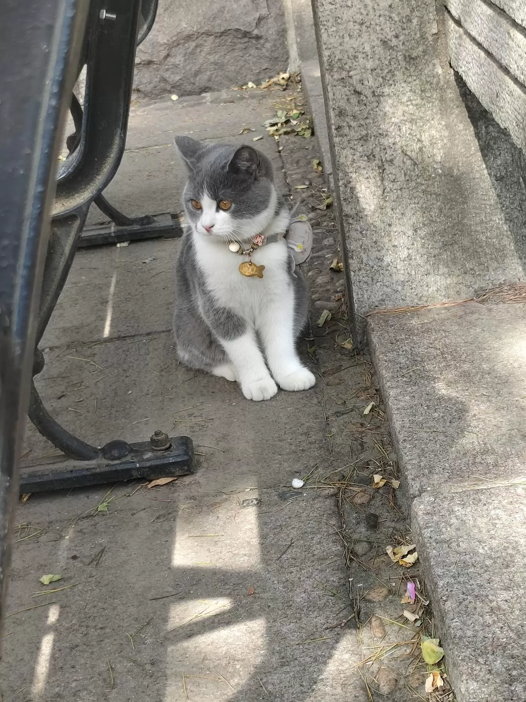 旅游推荐🌟两人游：青岛——南方长大但第一次看海~（24年秋天版）