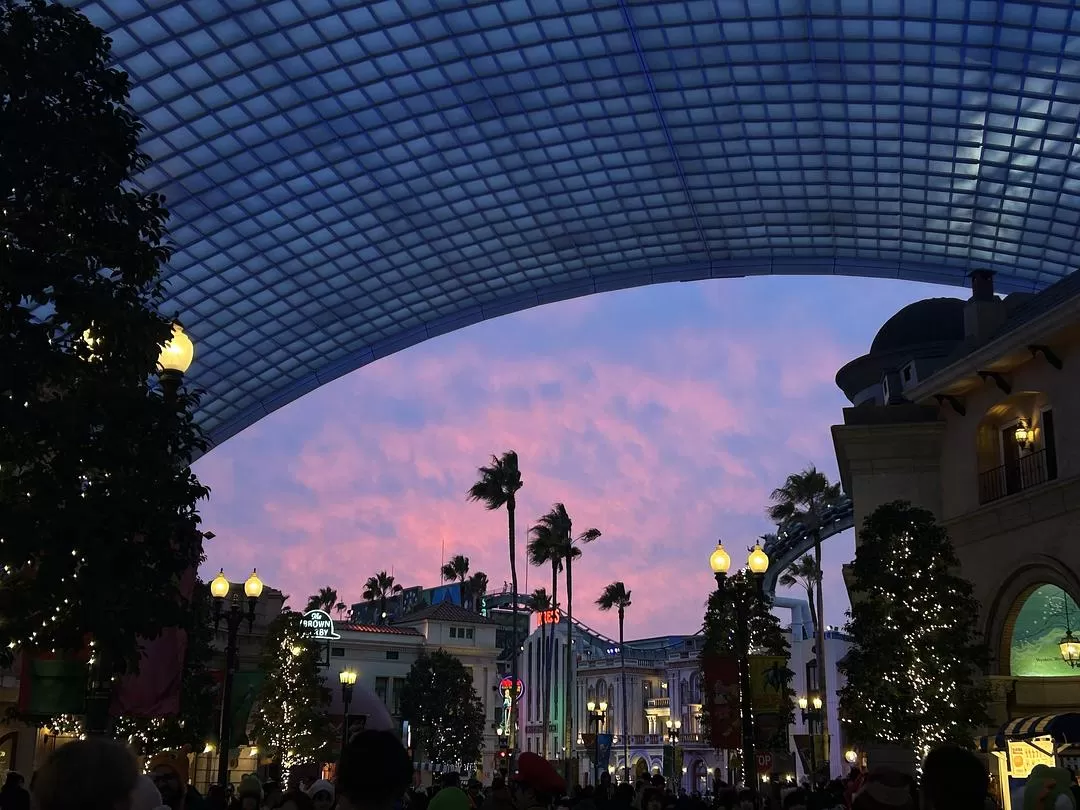 旅游推荐💝一人游：日本12日11晚（多图）