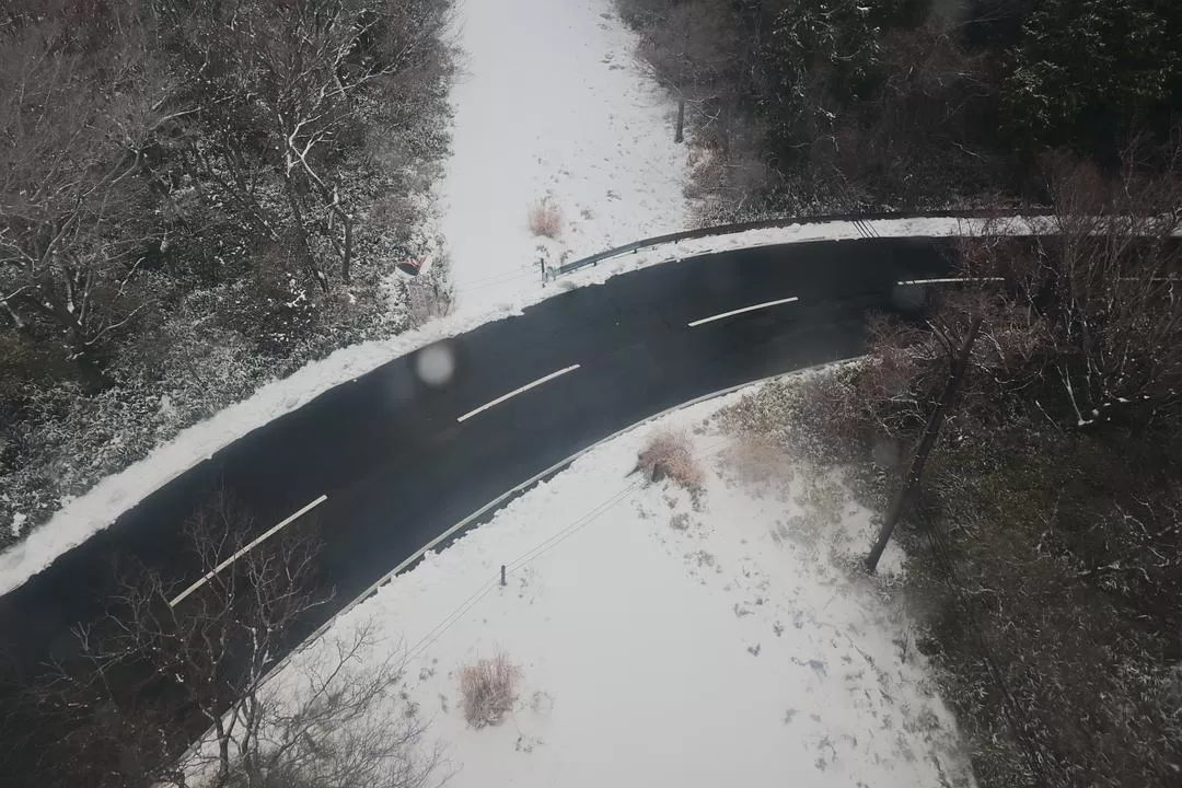 旅游推荐💝一人游：日本12日11晚（多图）