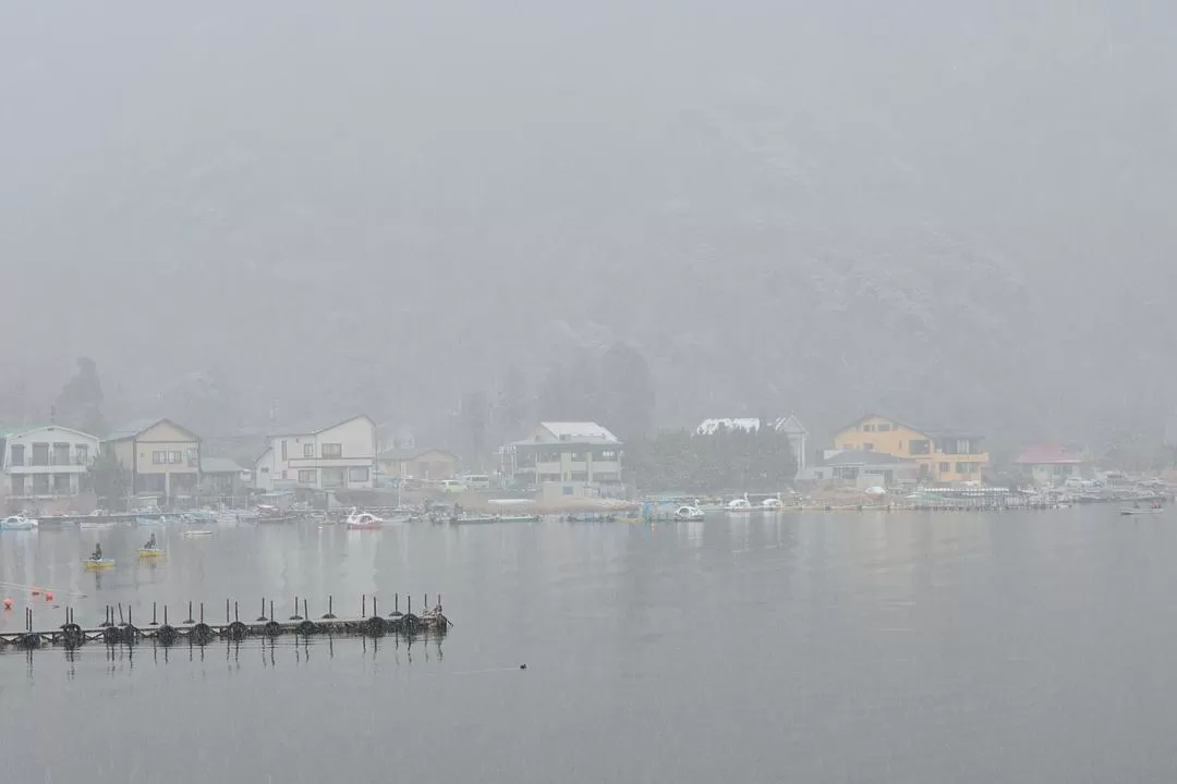 旅游推荐💝一人游：日本12日11晚（多图）