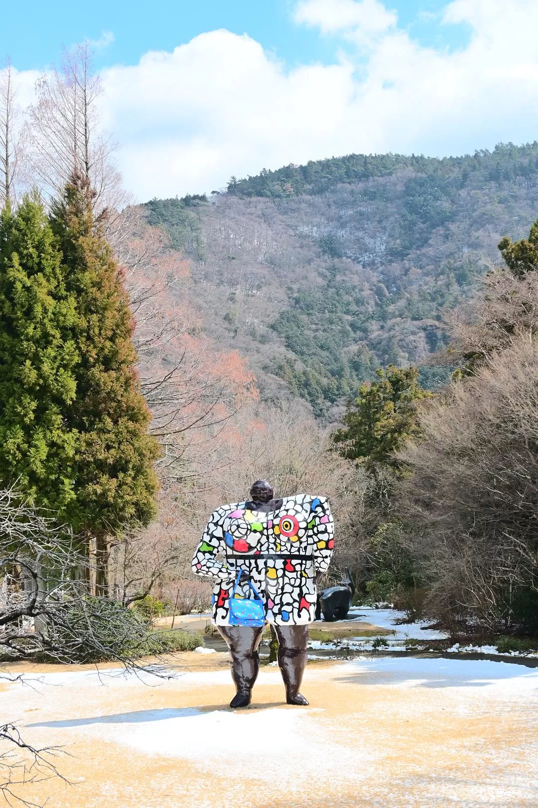 旅游推荐💝一人游：日本12日11晚（多图）