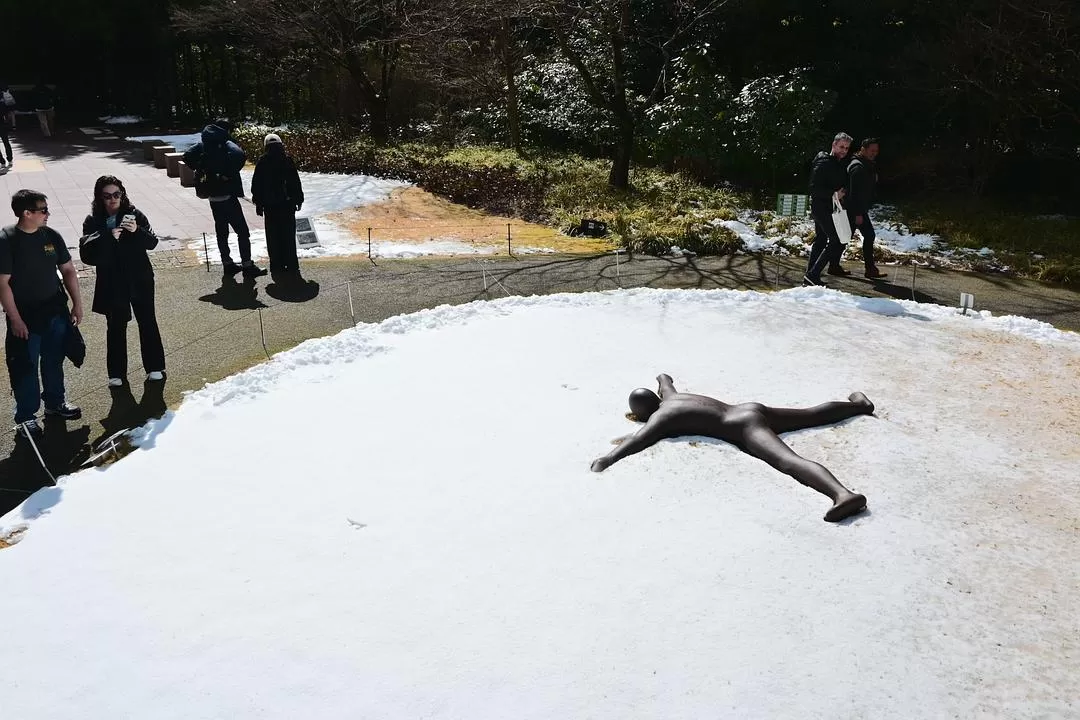 旅游推荐💝一人游：日本12日11晚（多图）
