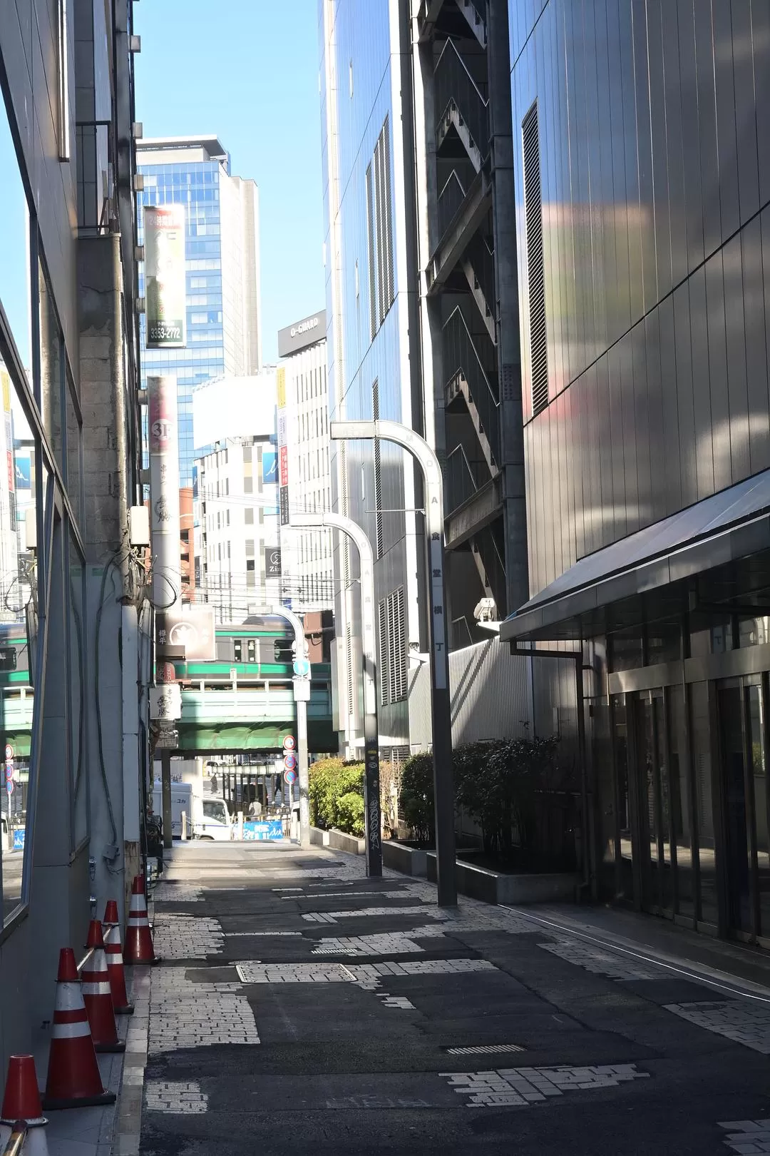 旅游推荐💝一人游：日本12日11晚（多图）