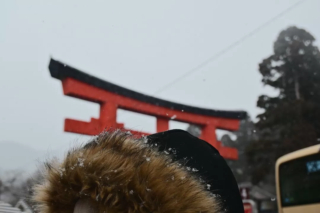 旅游推荐💝一人游：日本12日11晚（多图）