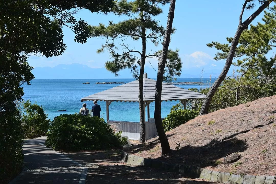 旅游推荐💝一人游：日本12日11晚（多图）