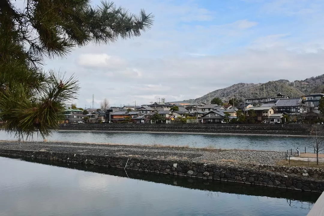 旅游推荐💝一人游：日本12日11晚（多图）