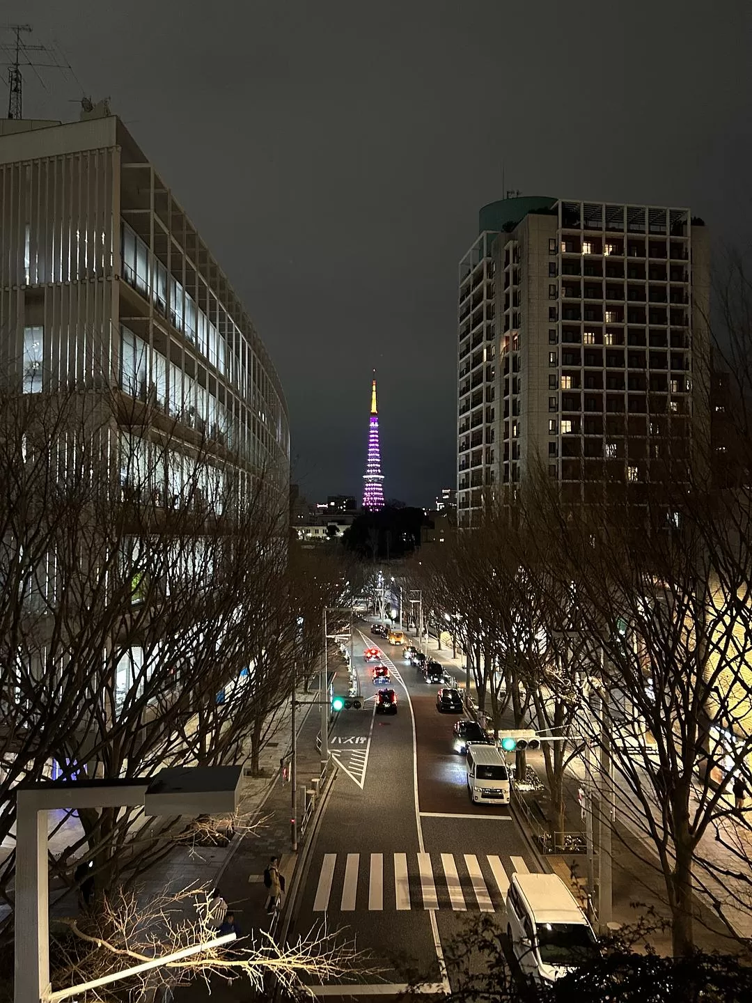旅游推荐💝一人游：日本12日11晚（多图）