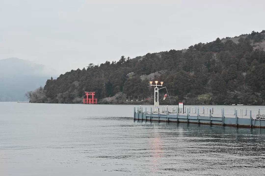 旅游推荐💝一人游：日本12日11晚（多图）