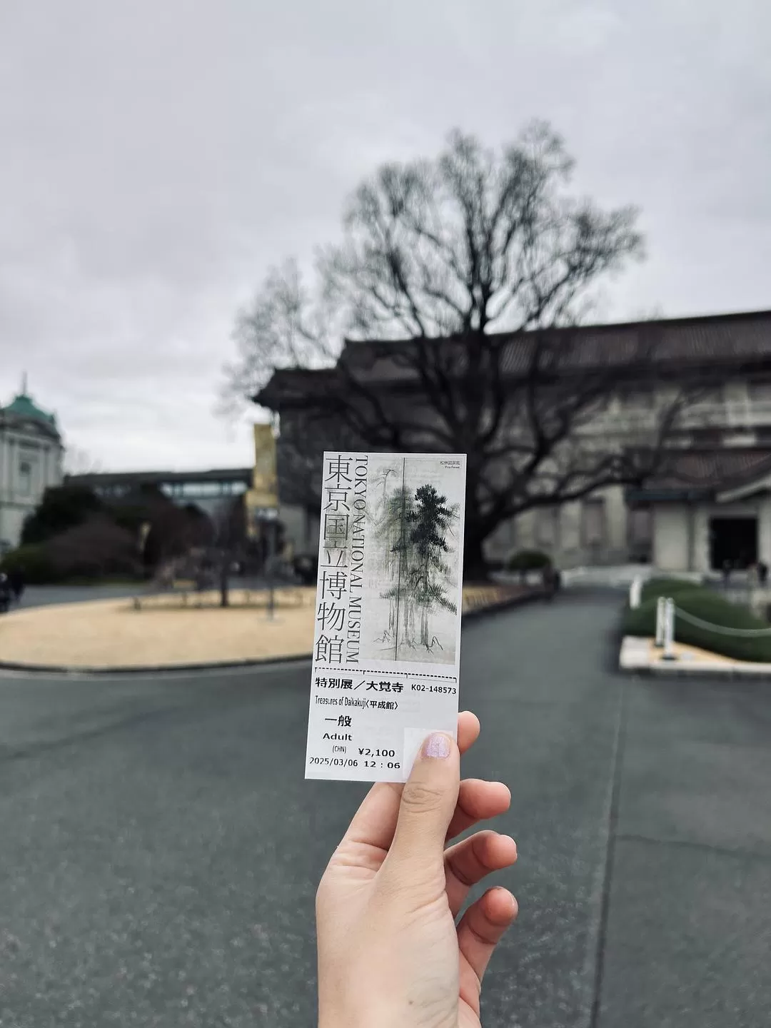 旅游推荐💝一人游：日本12日11晚（多图）