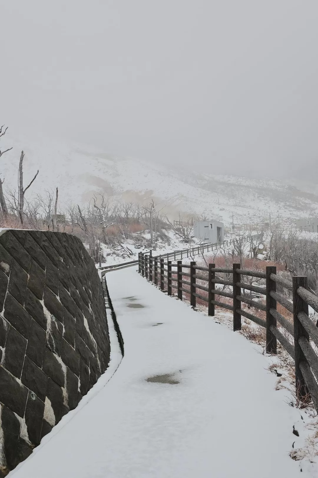 旅游推荐💝一人游：日本12日11晚（多图）