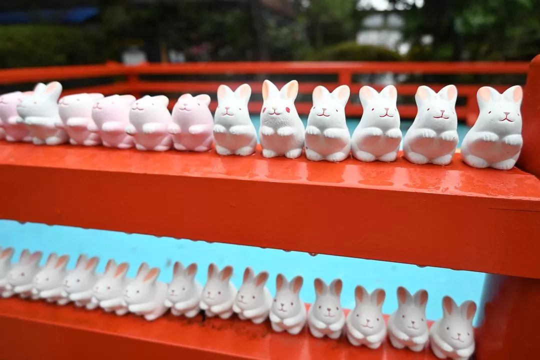 旅游推荐💝一人游：日本12日11晚（多图）