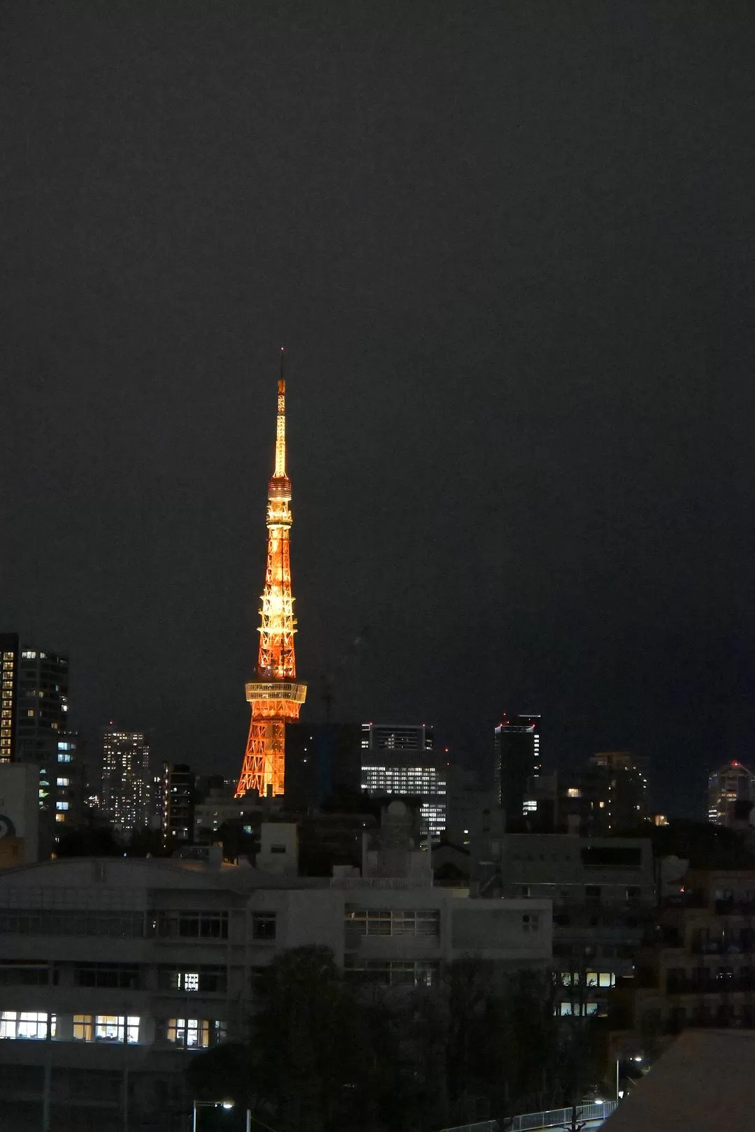 旅游推荐💝一人游：日本12日11晚（多图）