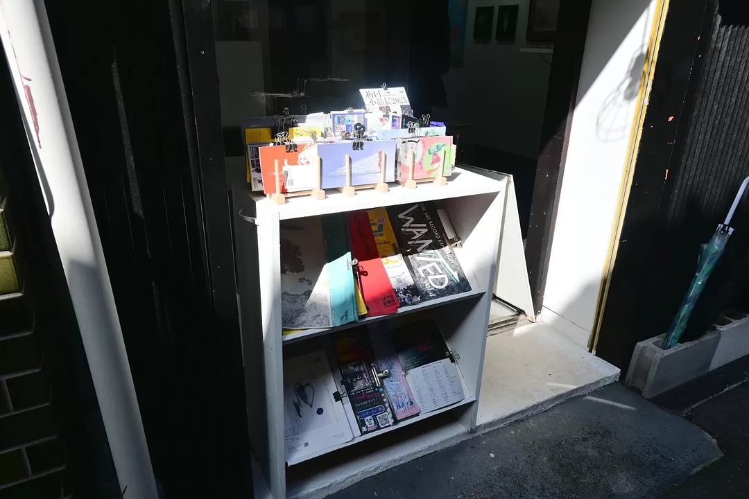 旅游推荐💝一人游：日本12日11晚（多图）