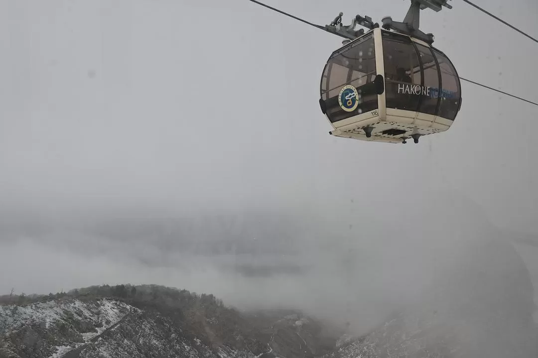 旅游推荐💝一人游：日本12日11晚（多图）