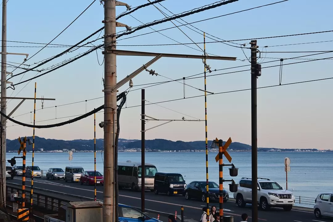 旅游推荐💝一人游：日本12日11晚（多图）