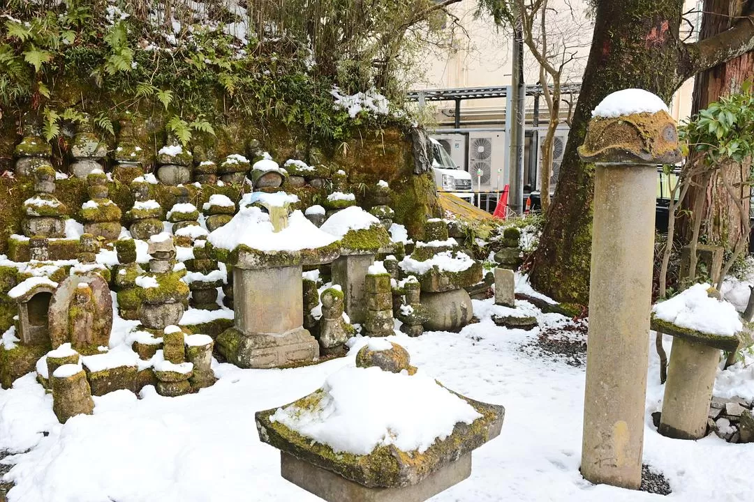 旅游推荐💝一人游：日本12日11晚（多图）