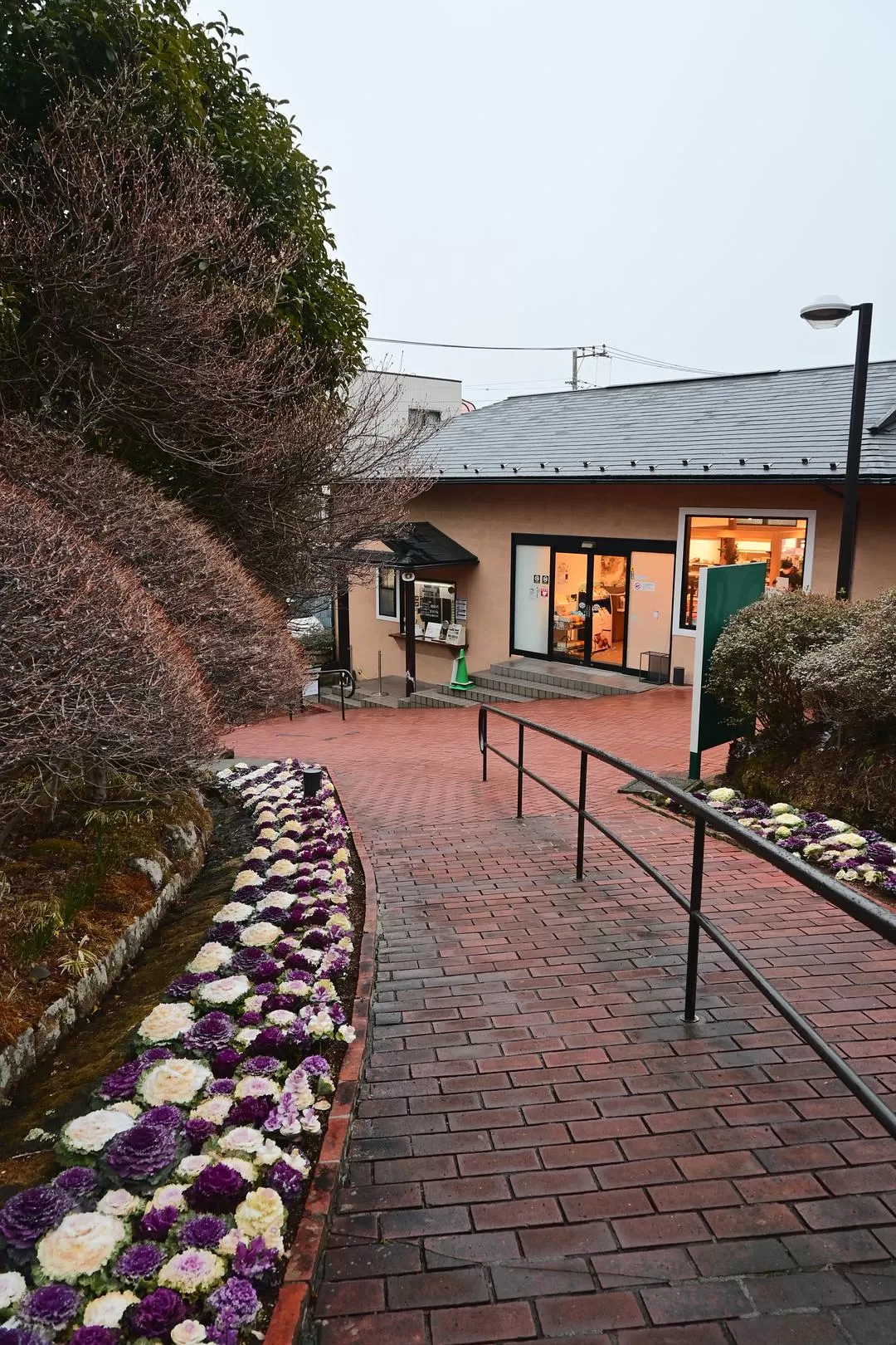 旅游推荐💝一人游：日本12日11晚（多图）