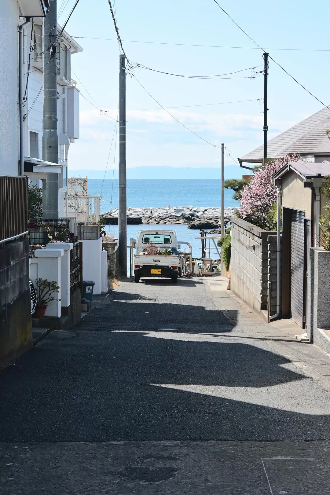 旅游推荐💝一人游：日本12日11晚（多图）