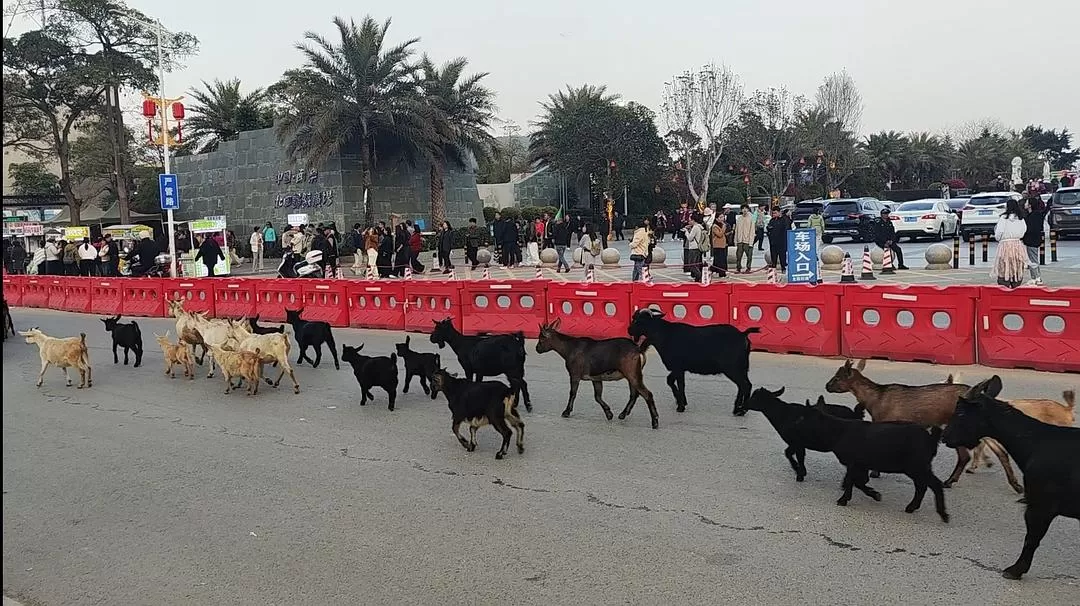 旅游推荐💗一人游：汕头南澳岛环岛骑行分享（多图）