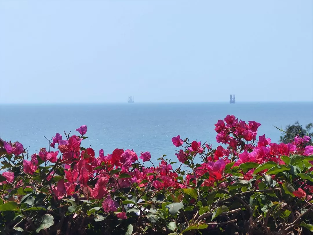 旅游推荐💗一人游：汕头南澳岛环岛骑行分享（多图）