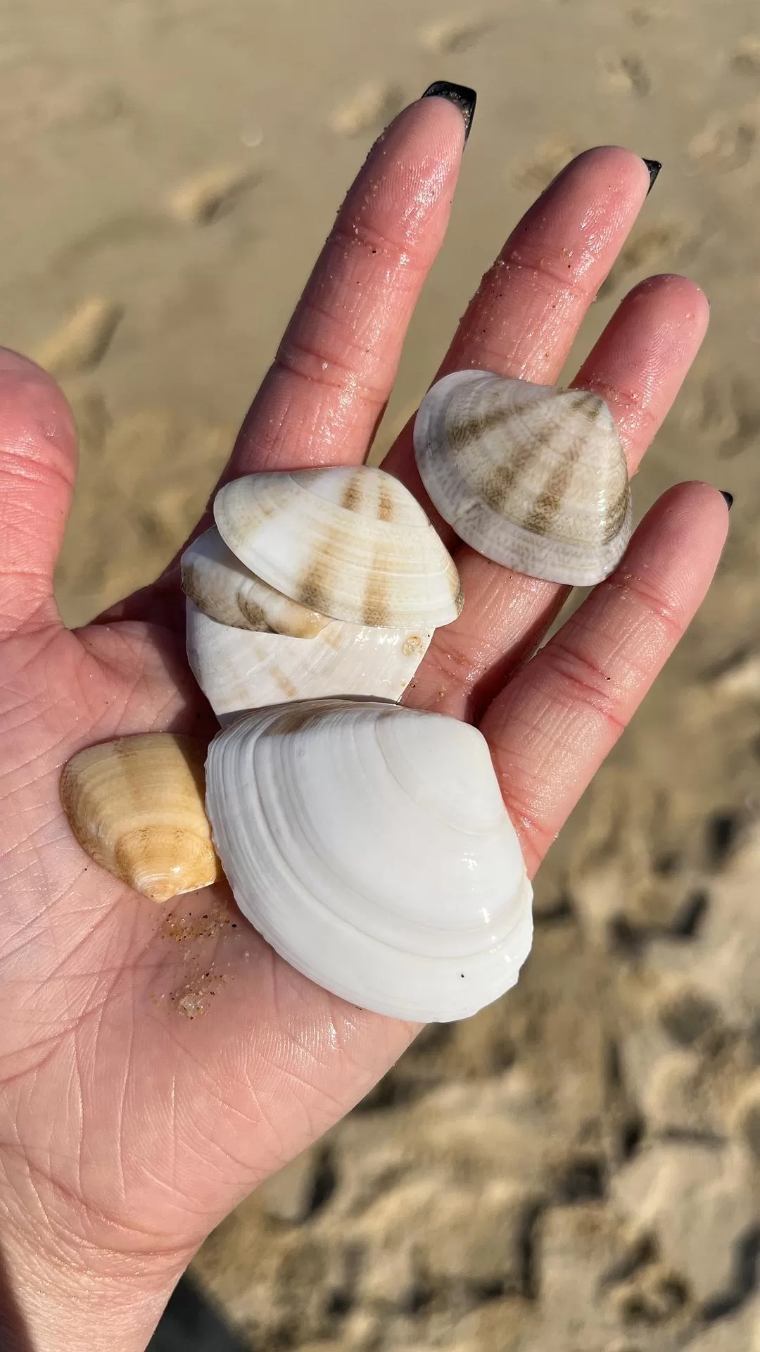 旅游推荐🧧一人游：韩国江陵 美丽宁静的大海🌊会永远喜欢的城市