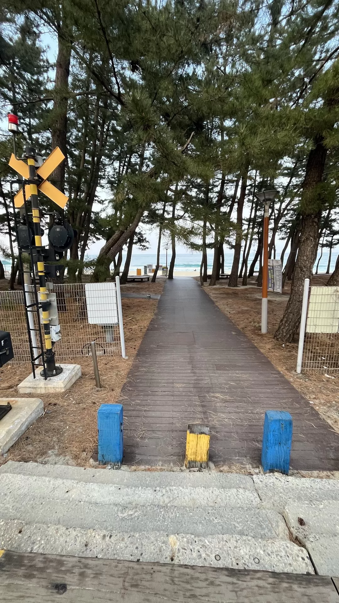 旅游推荐🧧一人游：韩国江陵 美丽宁静的大海🌊会永远喜欢的城市