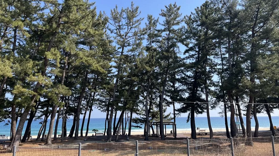 旅游推荐🧧一人游：韩国江陵 美丽宁静的大海🌊会永远喜欢的城市