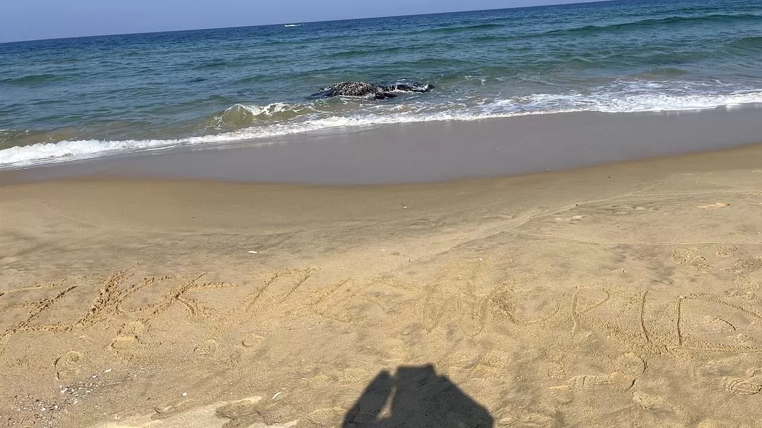 旅游推荐🧧一人游：韩国江陵 美丽宁静的大海🌊会永远喜欢的城市