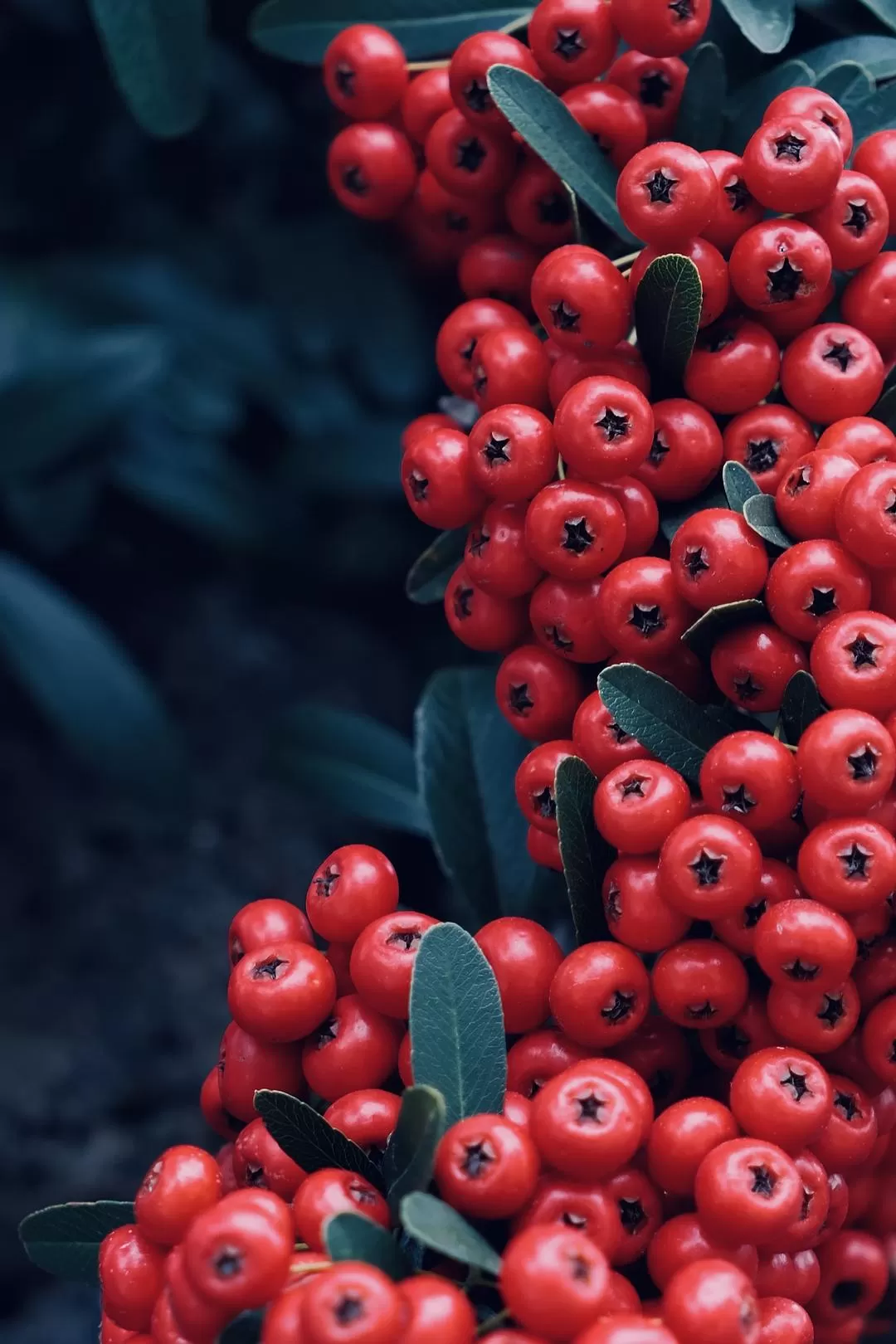 旅游推荐💓国外游：济州岛三天两晚solo游