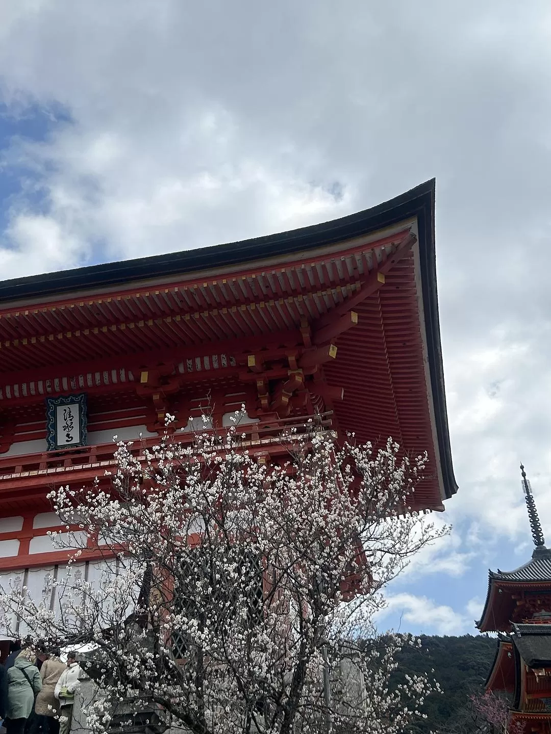 旅游推荐💗两人游：日本大阪两人穷游分享❗️人均5000➕