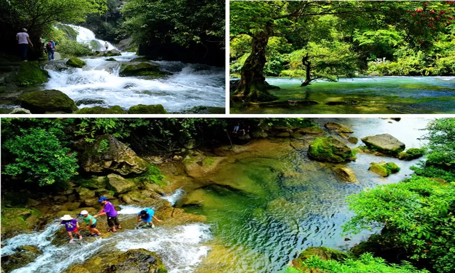 旅游推荐🏅家庭游：贵州茂兰原始森林穿越