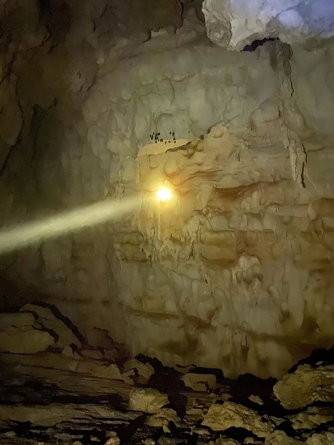 旅游推荐🏅家庭游：贵州茂兰原始森林穿越