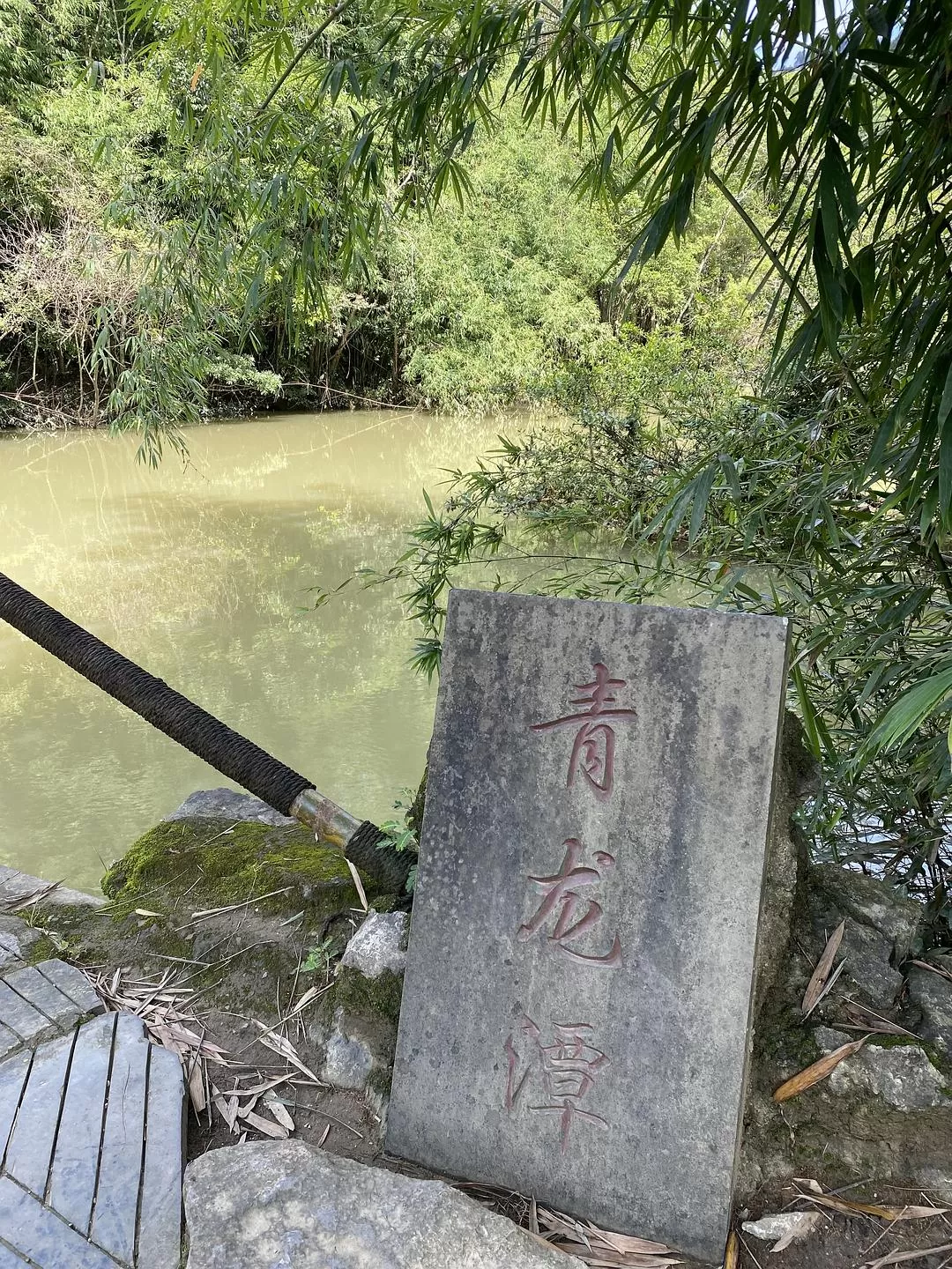 旅游推荐🏅家庭游：贵州茂兰原始森林穿越