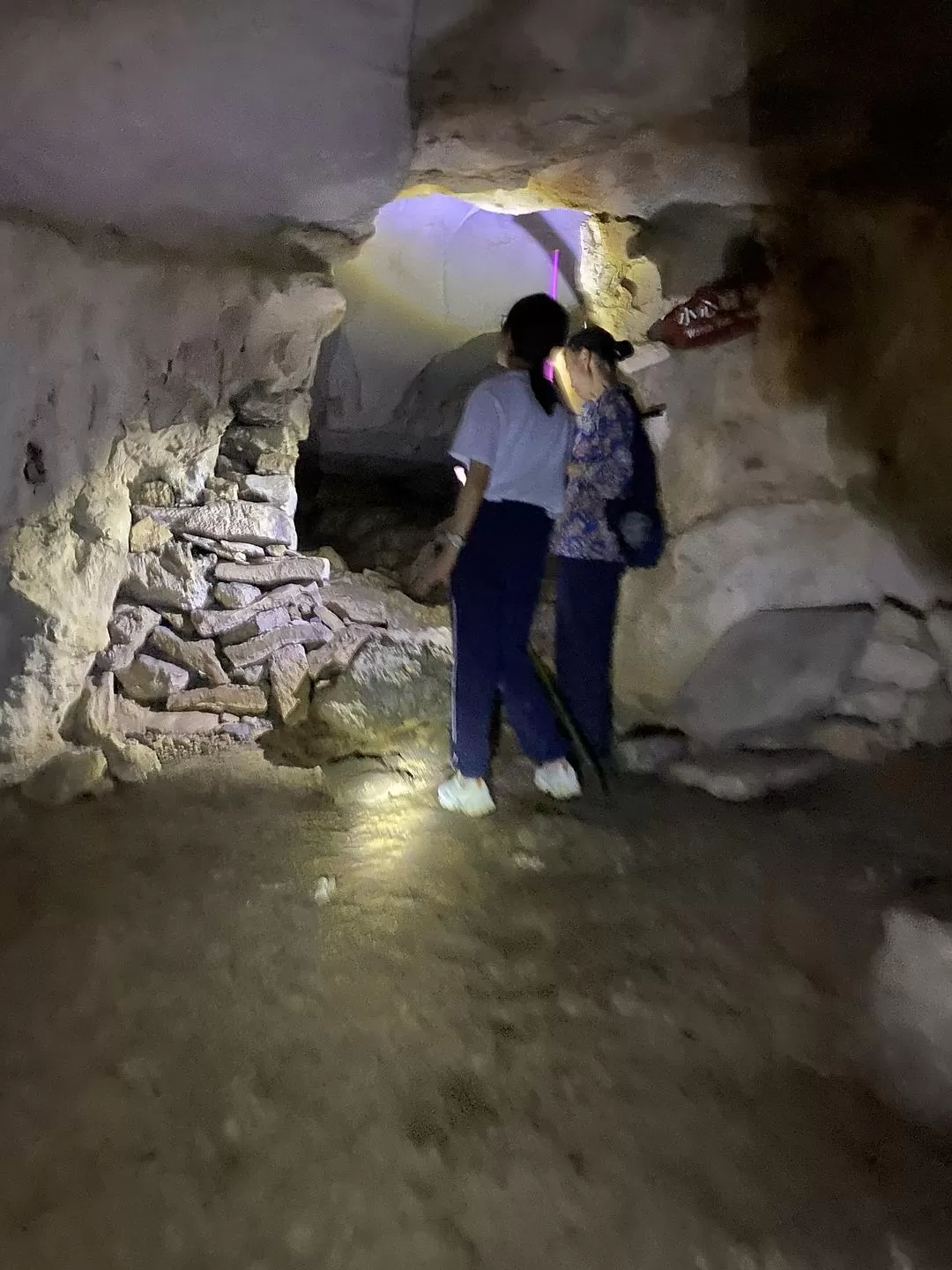 旅游推荐🏅家庭游：贵州茂兰原始森林穿越