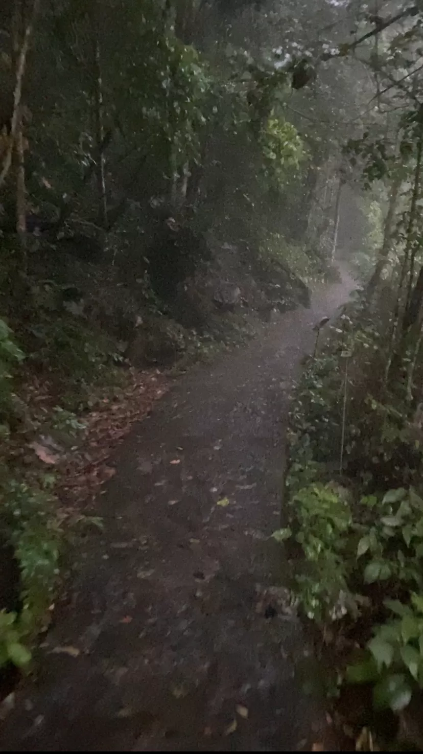 旅游推荐🏅家庭游：贵州茂兰原始森林穿越