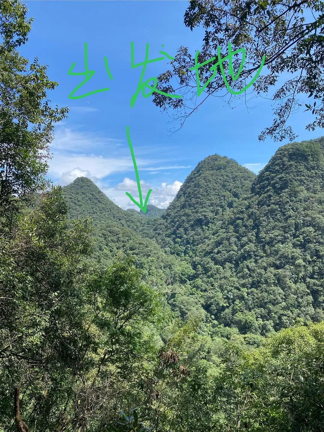 旅游推荐🏅家庭游：贵州茂兰原始森林穿越