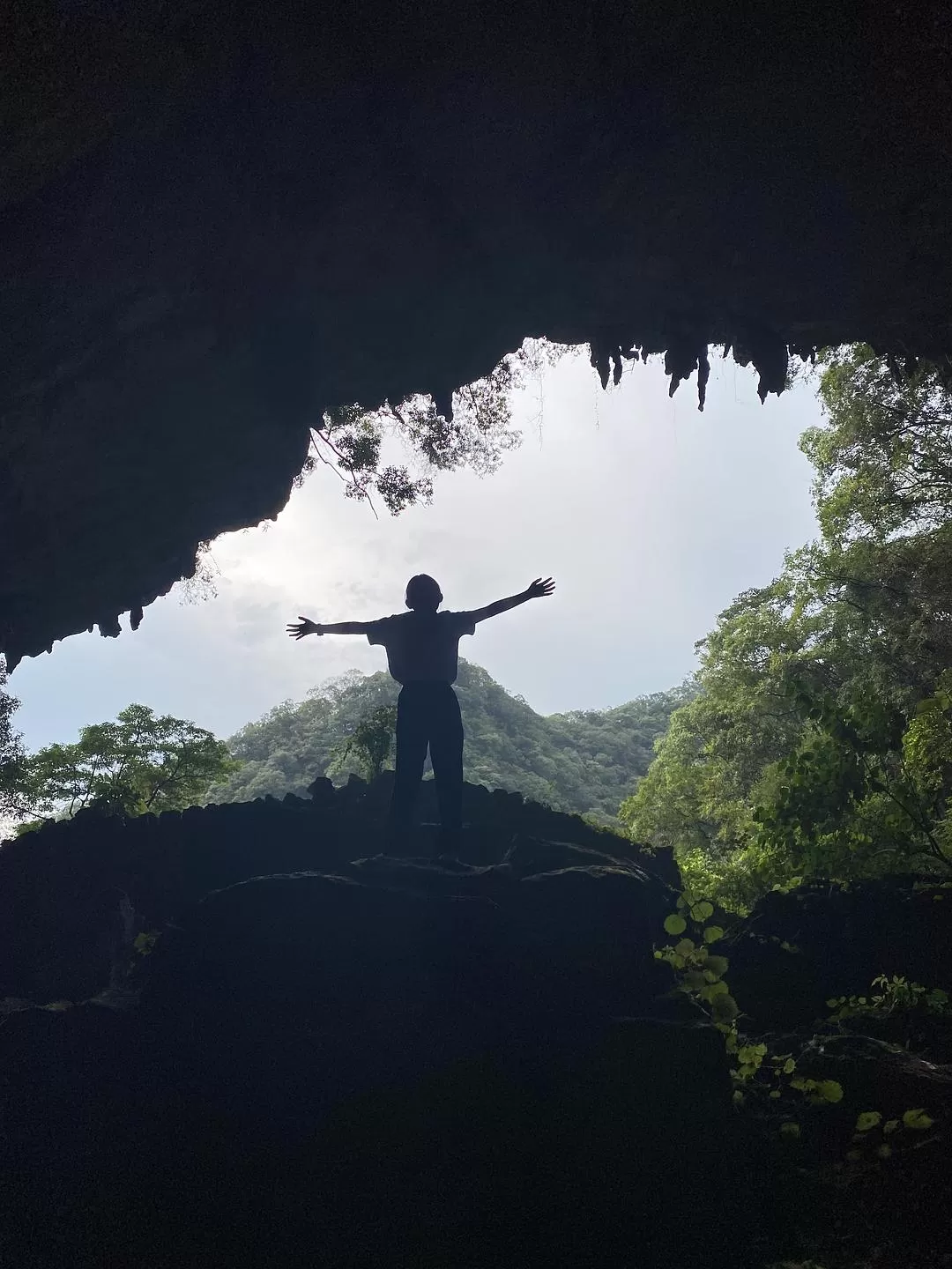 旅游推荐🏅家庭游：贵州茂兰原始森林穿越