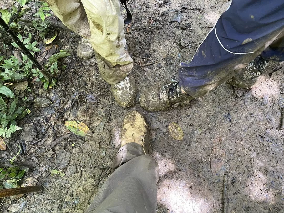 旅游推荐🏅家庭游：贵州茂兰原始森林穿越