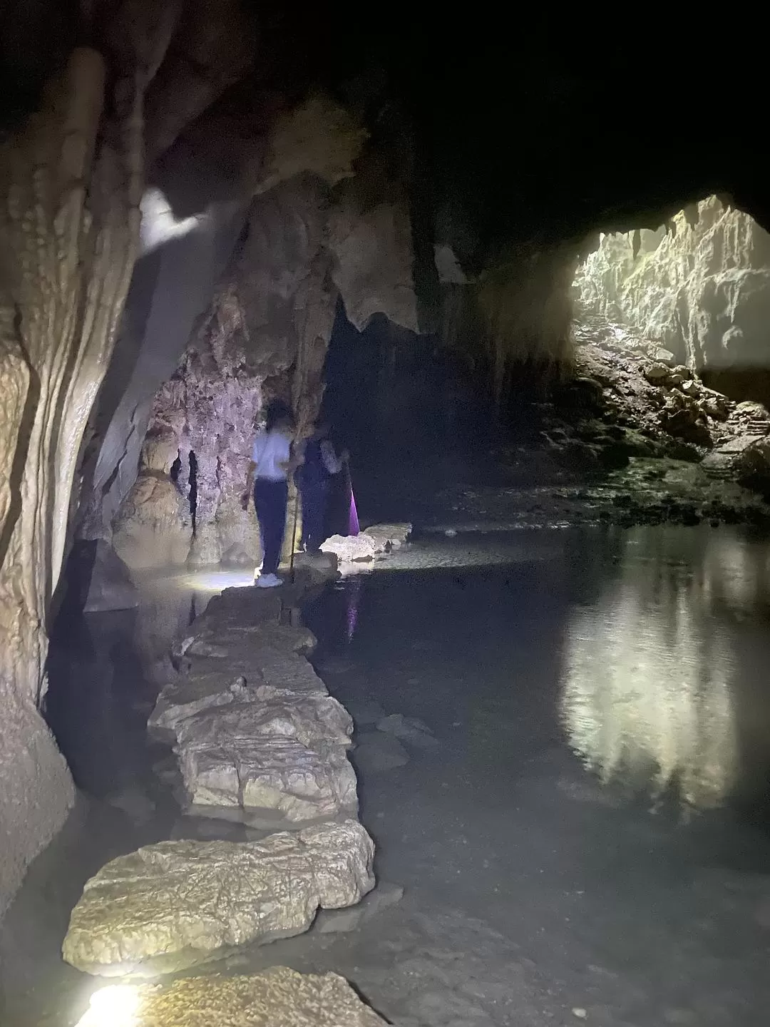 旅游推荐🏅家庭游：贵州茂兰原始森林穿越